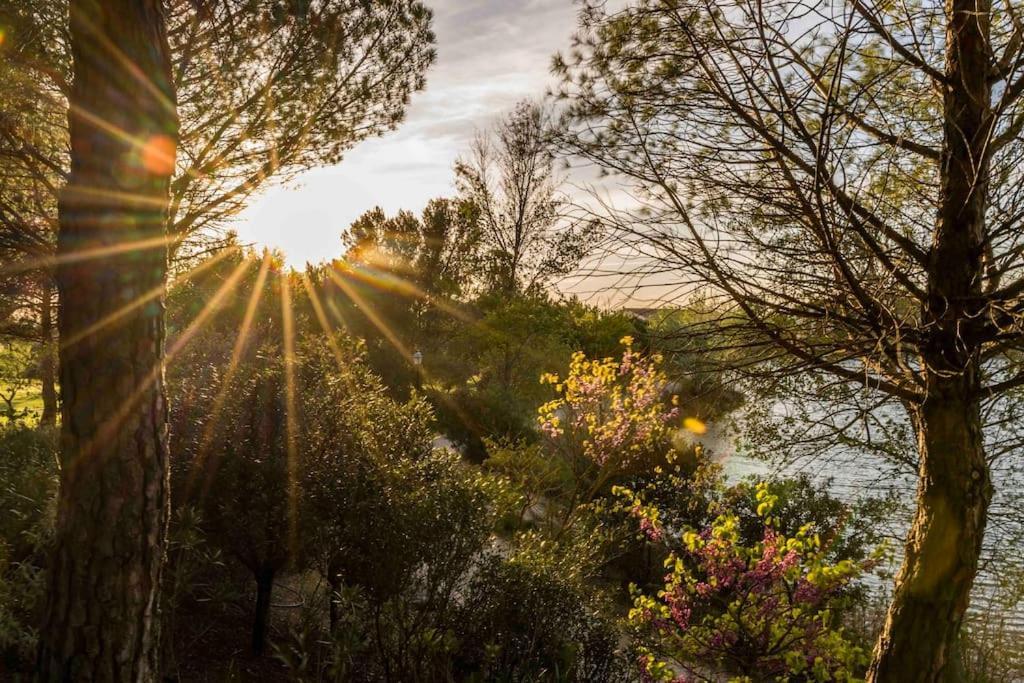 Magnifique Vue Lac Au Golf De Pont-Royal Mallemort Dış mekan fotoğraf